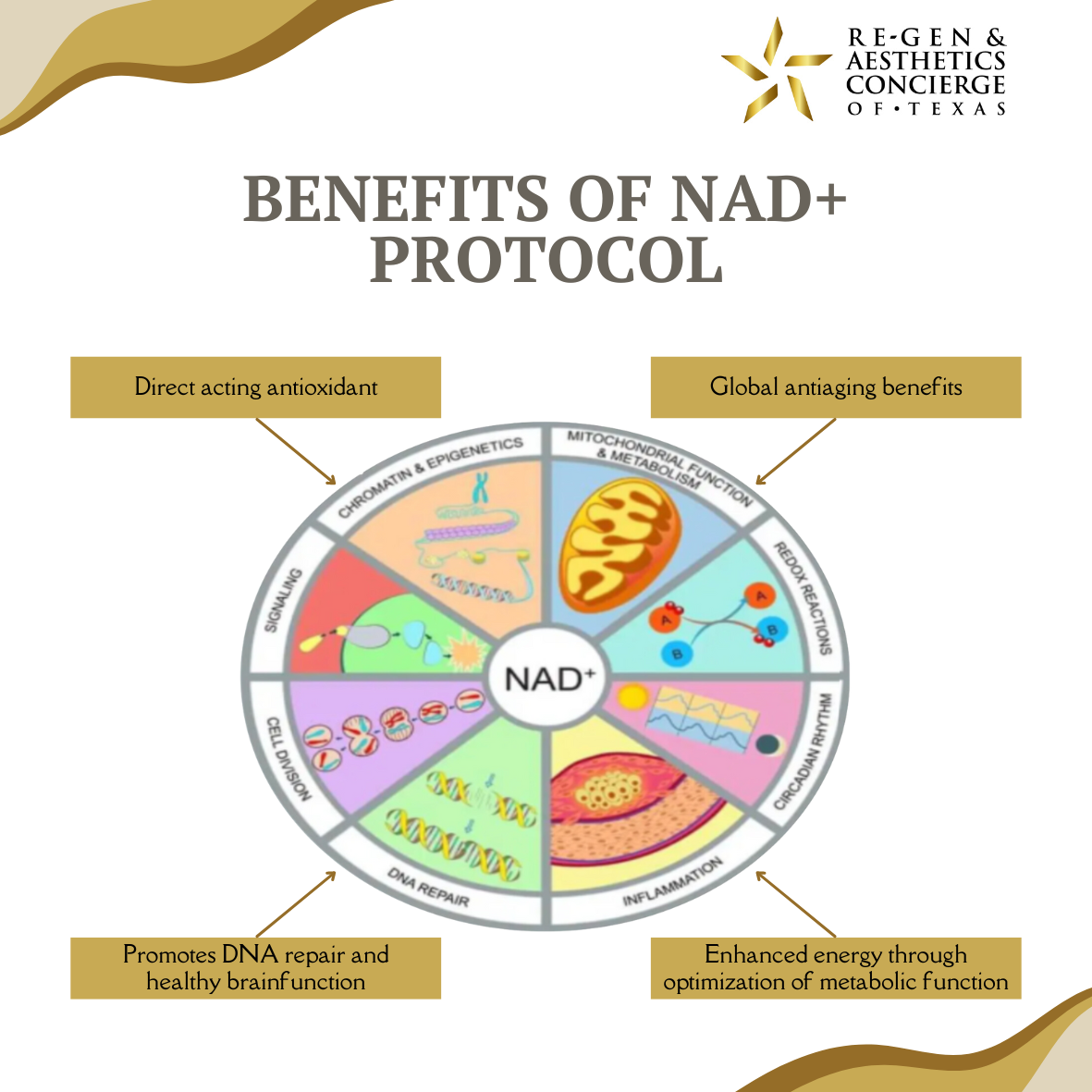 NAD Benefits