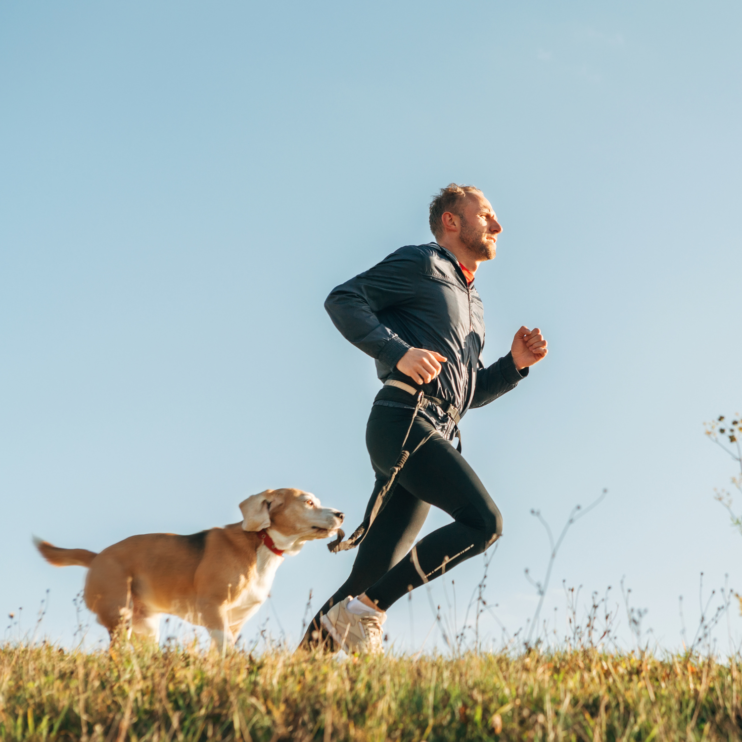 a man running with a dog